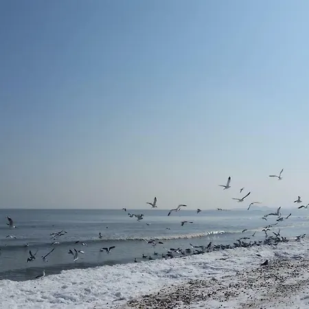 Bluemarina Lägenhet *