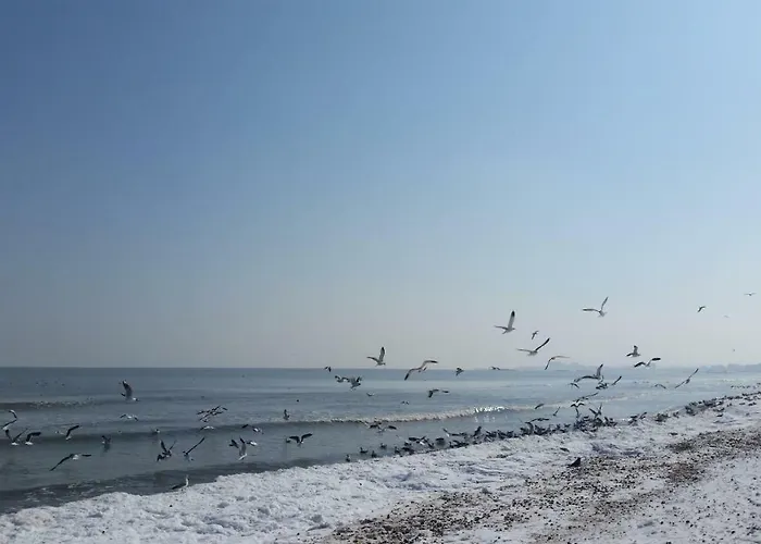 Bluemarina Appartamento *